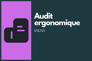 Audit ergonomique