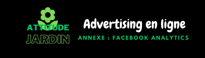 Advertising en ligne – Annexe Facebook Analytics